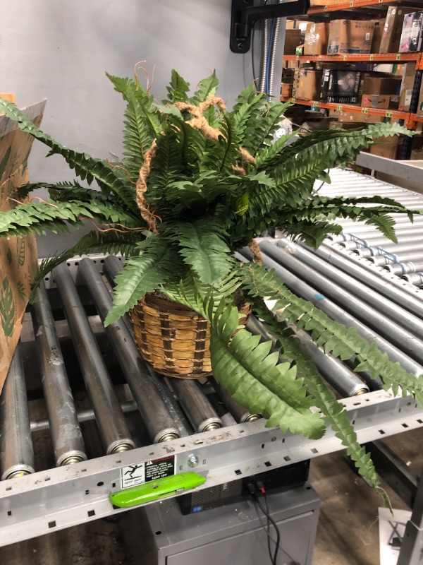 Photo 1 of 22" Artificial Large Boston Fern Hanging Basket