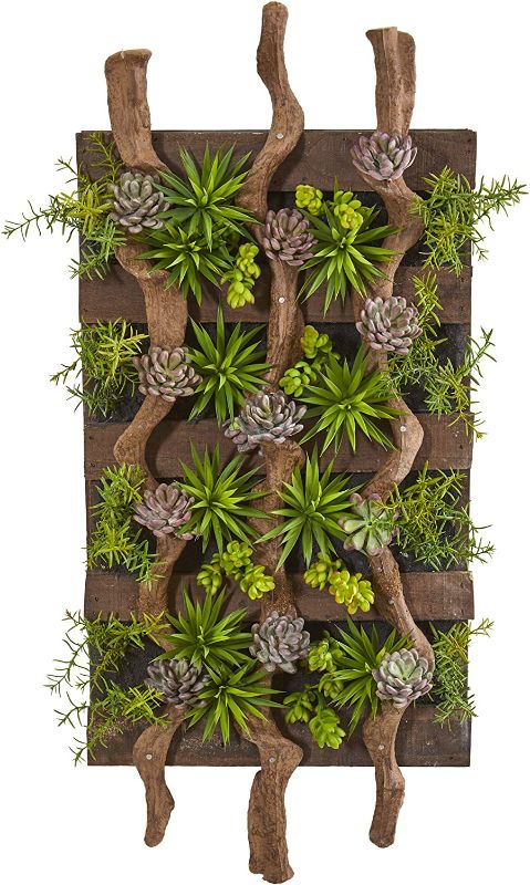 Photo 1 of 41” x 19” Mixed Succulent Artificial Living Wall
