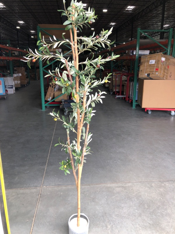 Photo 2 of Nearly Natural 82" Olive Artificial Tree
