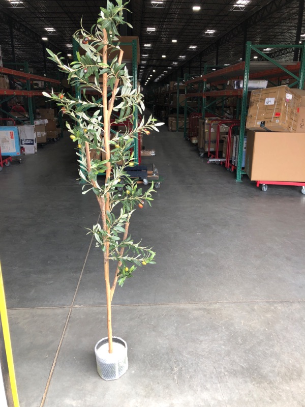 Photo 3 of Nearly Natural 82" Olive Artificial Tree
