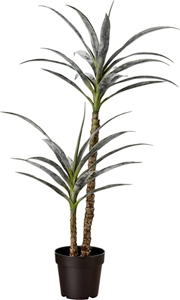 Photo 1 of Amazon Basics Artificial Yucca Plant with Plastic Nursery Pot - 3.5 Foot/Medium, Indoor
