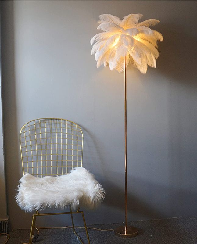 Photo 1 of  Natural Ostrich Feather Floor Lamp, Simple Modern Bedroom and Living Room Standing Lamp, Golden Lamp Body, G4-LED Bulb (White)
