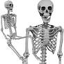 Photo 1 of 5.4FT/165CM Halloween Skeleton, Full Body Skeleton Skull Decor with Movable Posable Joints for Halloween Front Yard Patio Lawn Garden Props Spooky Party Decoration