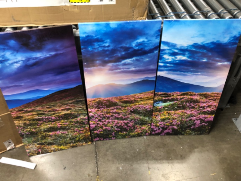 Photo 3 of 3 Panel Wall Art Blue Sunset Mountains Landscape Overcast Sky Storm Purple Flowers Carpathian Ukraine Painting The Flower Picture Print On Canvas Pictures for Home Decor Stretched by Wooden Frame-32 x 16 x 0.04 inches

