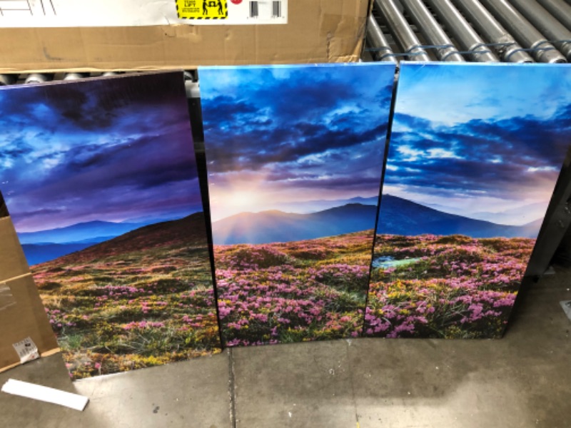 Photo 1 of 3 Panel Wall Art Blue Sunset Mountains Landscape Overcast Sky Storm Purple Flowers Carpathian Ukraine Painting The Flower Picture Print On Canvas Pictures for Home Decor Stretched by Wooden Frame-32 x 16 x 0.04 inches

