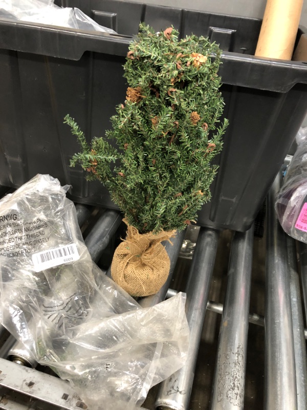 Photo 1 of 17" christmas tree wit pine corns
