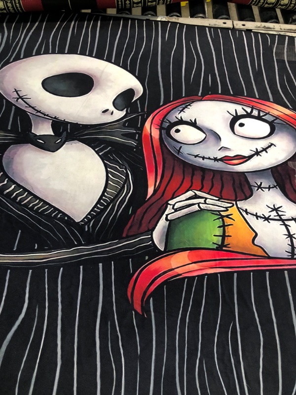 Photo 1 of 3' 3" x 4' 10" jack and sally rug