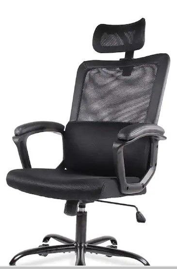 Photo 1 of FENBAO Ergonomic Black Mesh Home Office Chair with Lumbar Support/Adjustable Headrest/Armrest and Wheels/Mesh High Back