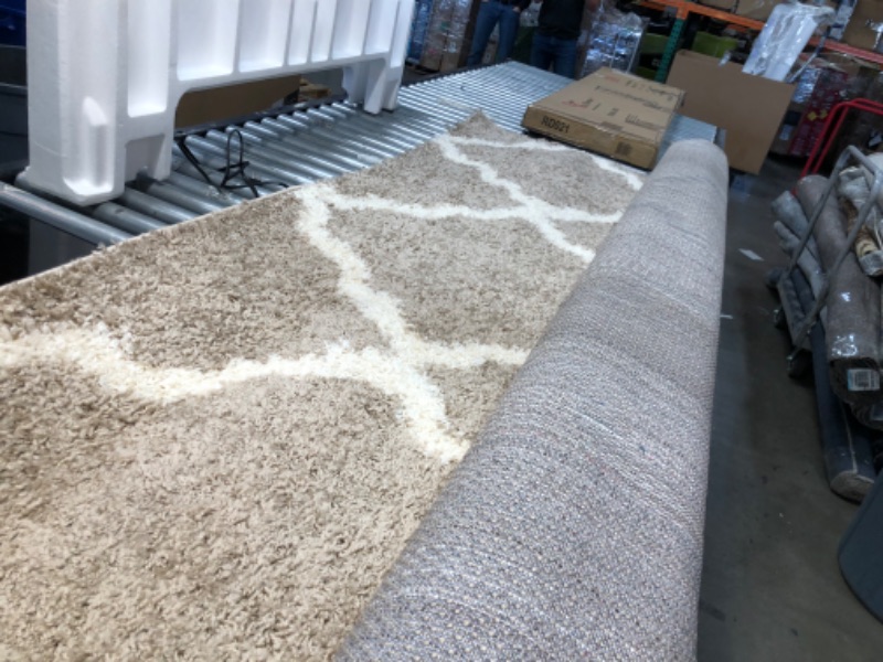 Photo 4 of **used, needs cleaning**
SAFAVIEH Dallas Shag Collection 8' x 10' Beige/Ivory SGD257D Trellis Non-Shedding Living Room Bedroom Dining Room Entryway Plush 1.5-inch Thick Area Rug 8 ft x 10 ft Rectangular Beige / Ivory