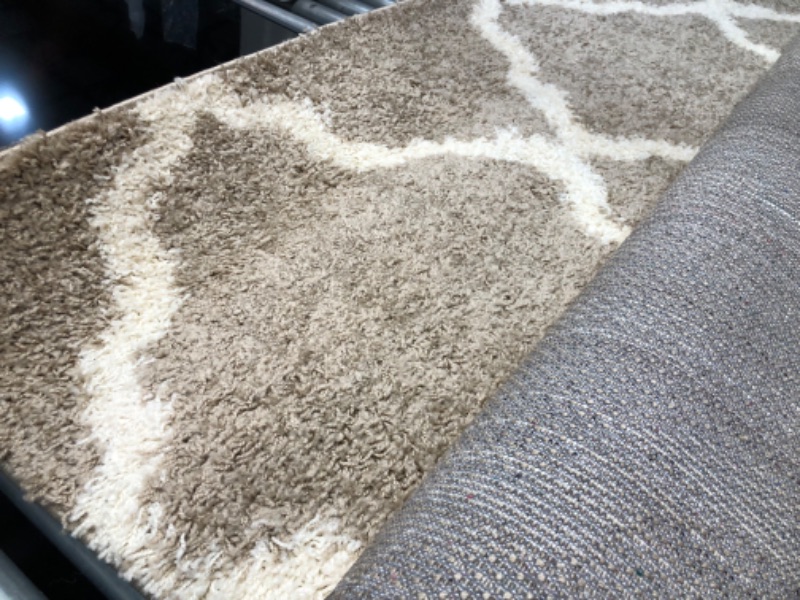 Photo 3 of **used, needs cleaning**
SAFAVIEH Dallas Shag Collection 8' x 10' Beige/Ivory SGD257D Trellis Non-Shedding Living Room Bedroom Dining Room Entryway Plush 1.5-inch Thick Area Rug 8 ft x 10 ft Rectangular Beige / Ivory