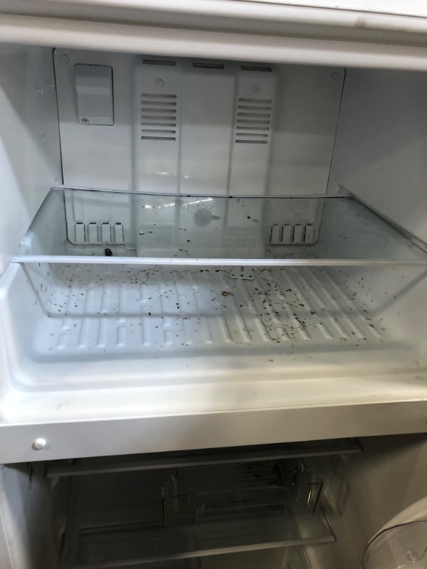 Photo 3 of Whirlpool 18.2-cu ft Top-Freezer Refrigerator (White)
