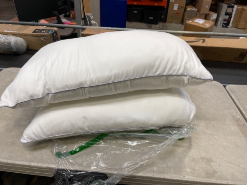 Photo 1 of 2 STANDARD HOTEL PILLOWS, WHITE