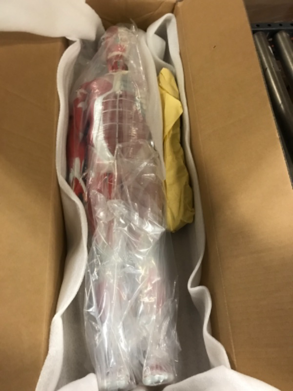 View 2 of breesky Human Muscle and Organ Model, 27-Part Half Life-Size Muscular Figure with Removable Organs and Muscle Anatomy for Medical Educational Training