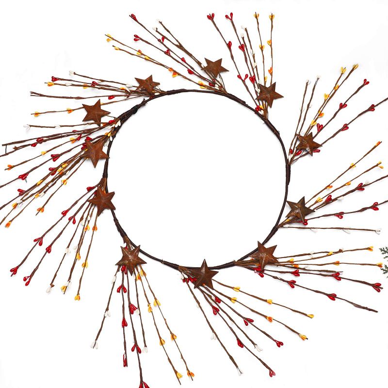 Photo 1 of Youyole Pip Berry and Rusty Star Garland 40'' Fall Pip Berry Garland Primitive Vines Garland Gifts, Christmas Decor for The Door, Red/ Burgundy