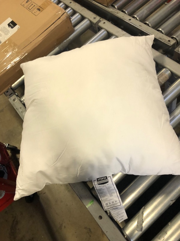 Photo 2 of 55 inch  pillow