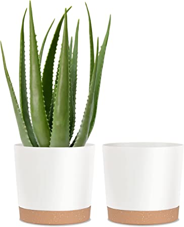 Photo 1 of  Plant Pots for Indoor Plants, 2 PC 11 Inch Plant Pot Plastic Flower Pots Planters with Drainage Saucer for Indoor Outdoor Garden Home