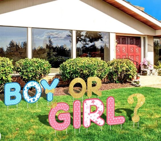 Photo 1 of Chinco 10 Pieces Gender Reveal Party Decorations Party Supplies Baby Shower Yard Signs Outdoor Yard Letters Lawn Signs with Stakes for Indoor Outdoor Garden Lawn Party Decorations (Boy or Girl)