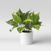 Photo 1 of *Stock Photo for Reference* Studio Mcgee Green Artificial Olive Leaf Arrangement in Tan 14 " Pot
