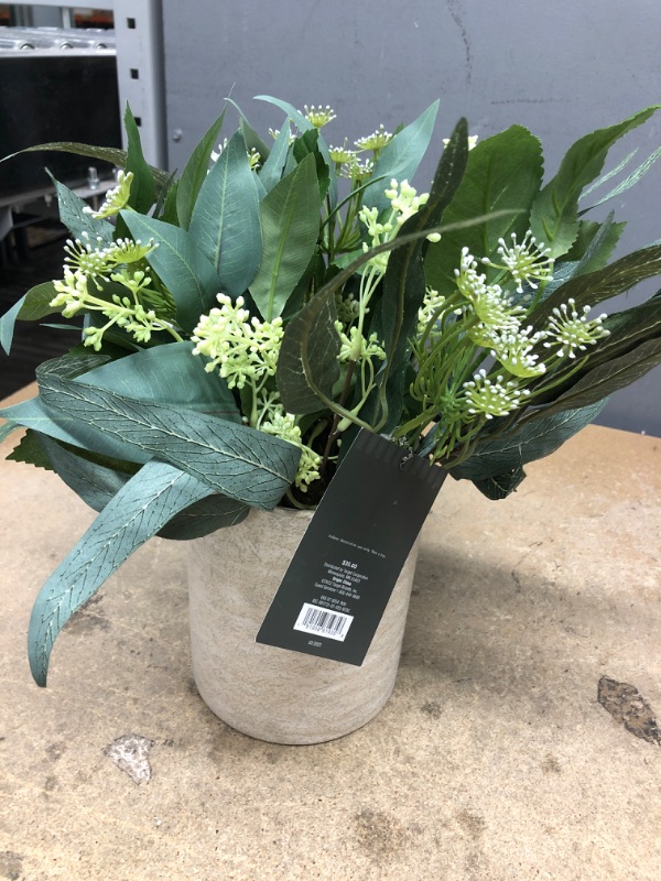 Photo 2 of *Stock Photo for Reference* Studio Mcgee Green Artificial Olive Leaf Arrangement in Tan 14 " Pot
