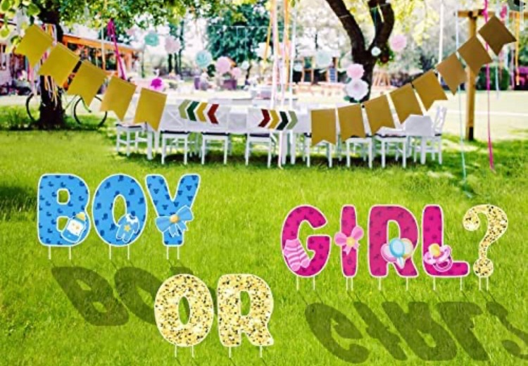 Photo 1 of Gender Reveal Decorations Yard Signs 10PCS Baby Gender Reveal Party Supplies Baby Shower yard letters with stakes for Indoor Outdoor Garden Lawn Decorations kit (Dark Color-Boy or Girl)