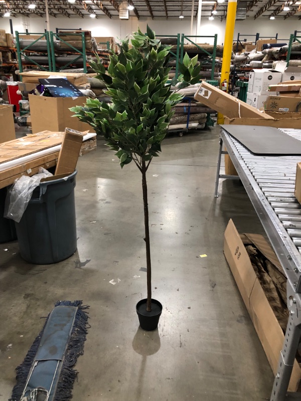 Photo 2 of Amazon Basics Artificial Ficus Tree Fake Plant with Plastic Planter Pot, 63-Inch 63" Ficus Tree