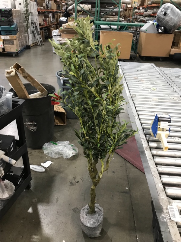 Photo 3 of **used-bent**
Aveyas 6ft Artificial Olive Tree in Cemented Plastic Pot, 6 feet Tall Large Fake Silk Trees Faux Topiary Fruit Potted Plants for Indoor Outdoor Office House Bedroom Living Room Home Modern Decor(72in)