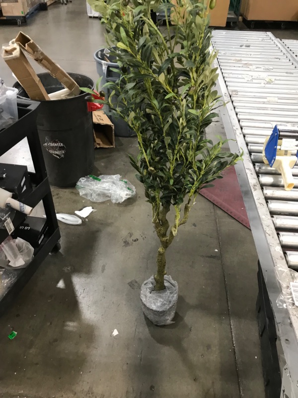 Photo 4 of **used-bent**
Aveyas 6ft Artificial Olive Tree in Cemented Plastic Pot, 6 feet Tall Large Fake Silk Trees Faux Topiary Fruit Potted Plants for Indoor Outdoor Office House Bedroom Living Room Home Modern Decor(72in)