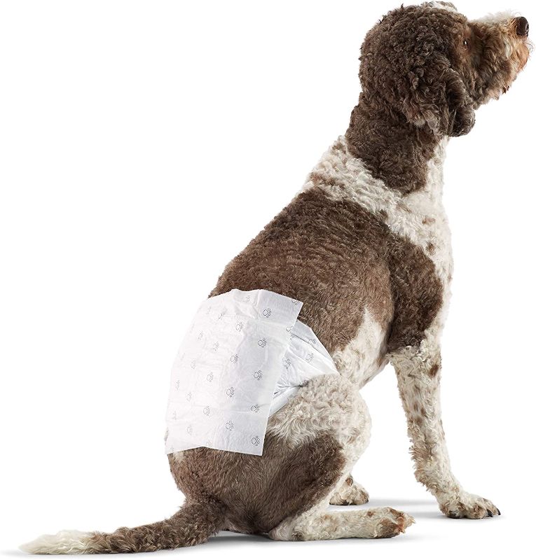 Photo 1 of Amazon Basics Male Dog Wrap, Disposable Diapers, Large - Pack of 50
