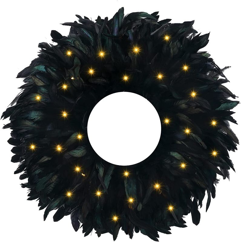 Photo 1 of 19.68'' Black Halloween Feathers Wreath Set 15pcs DIY Lighted Wreath Feathers Wreath with LED Light Iron Ring Glue Gun Halloween Door Hanging Wreath for Front Door Halloween Decor(Black)
