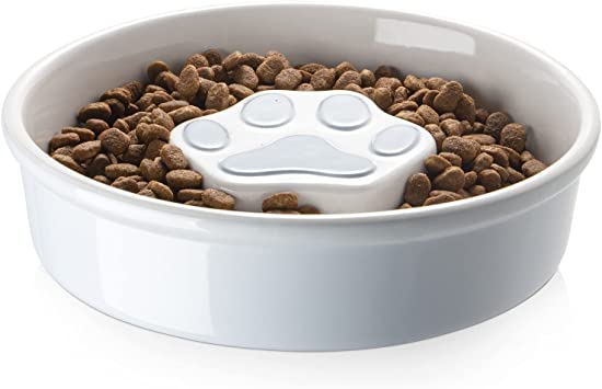 Photo 1 of Y YHY Slow Feeder Dog Bowls, Ceramic Dog Bowls for Dry and Wet Food, Non-Slip Slow Dog Bowls for Small and Medium Dogs, Slow Feeder for Cats and Dogs, 21 oz - 2 Cup