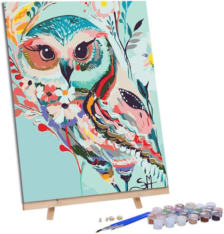 Photo 1 of  (( 3 SET / FACTORY SEALED )) DIY Painting by Numbers for Adults, Oil Painting Kit Acrylic for Adults Kids, Arts Craft for Home Wall Decor, Decoration-Owl
