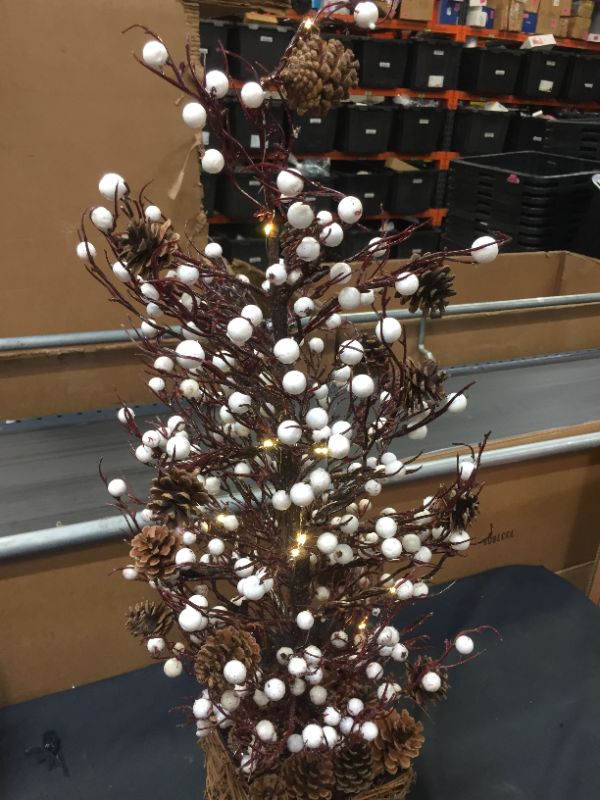 Photo 3 of 30" Tabletop Twig Tree with Vine Base - White Berry