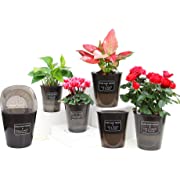 Photo 1 of 6PACK Translucent Black 4.7Inch Self Watering Planter Pots with Wick Rope for Indoor Outdoor Plants, Reusable Plastic Automatic Watering Planter Pots Save Time, 6S
