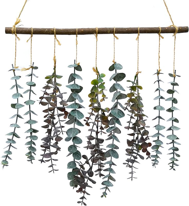 Photo 1 of Eucalyptus Hanging Boho Wall Decor Artificial Eucalyptus Wall Hanging Plant with Wooden Stick for Boho Room Decor Bedroom, Living Room, Bathroom Decor
