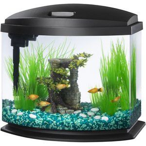 Photo 1 of Aqueon LED MiniBow SmartClean Fish Aquarium Kit, Black, 5-gal
