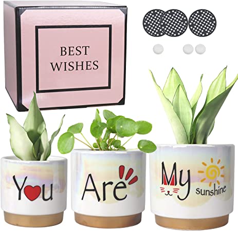 Photo 1 of YQSLYSF Indoor Plant Pots for Plants with Drainage Holes-Gift-Wrapped, Ceramic Planter Birthday Gifts for Sister Aunt Mother Teacher from Sister Daughter, Orchid Flower Pot-Rainbow Pearl Glaze
