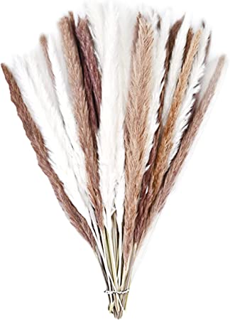 Photo 1 of 60 Pack Pampas Grass Boho Decorations, 17.3 inch/44cm Natural Dried Pampas Grass Branches for Boho Party Decor Home Kitchen Garden Photographing Flower Arrangement Vase Decor
