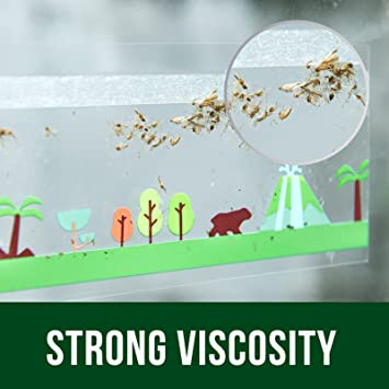 Photo 1 of Garsum Window Fly Traps Indoors, Fly Paper Sticky Strips, Non-Toxic Clear Fly Catcher, Fly Killer for Home Window Decal 60 traps