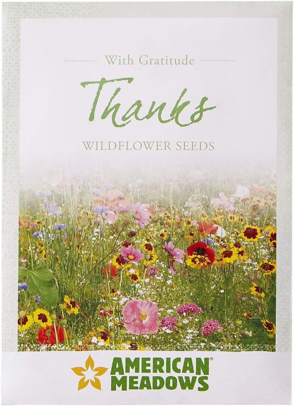 Photo 1 of American Meadows Wildflower Seed Packets "Thanks with Gratitude" Party Favors (Pack of 20) - Express Gratitude with a Wildflower Seed Mix, Great Addition or Alternative to Thank You Cards
