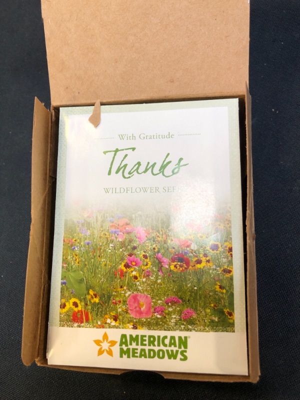 Photo 2 of American Meadows Wildflower Seed Packets "Thanks with Gratitude" Party Favors (Pack of 20) - Express Gratitude with a Wildflower Seed Mix, Great Addition or Alternative to Thank You Cards
