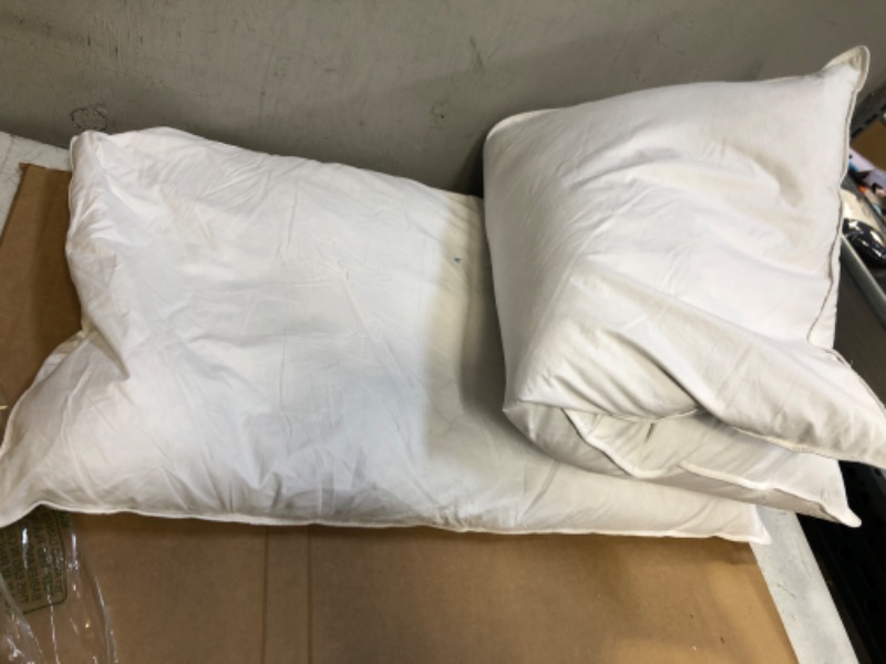 Photo 2 of 20x36 Set of 2 White Goose Feather Bed Pillows  