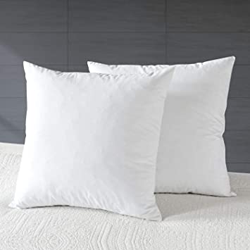 Photo 1 of  Down Feather Throw Pillow Inserts 2 Pack - Premium Soft Cotton Euro Square Decorative Pillow Core Set for Bed, Sofa, Couch, Ivory White