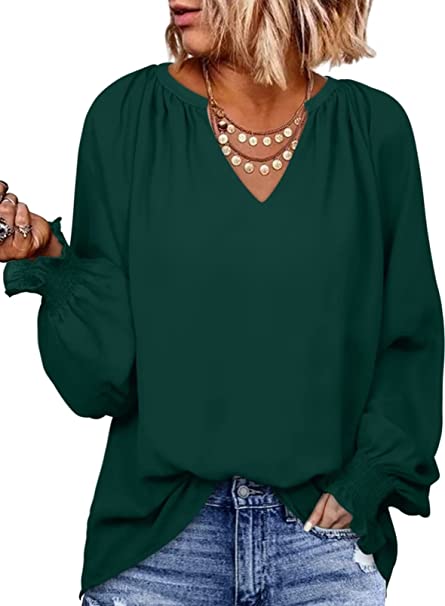 Photo 1 of BEZEKC Chiffon Blouses for Women Fashion Long Sleeve Ladies Tops Dressy casual Fall Tunic Tops
