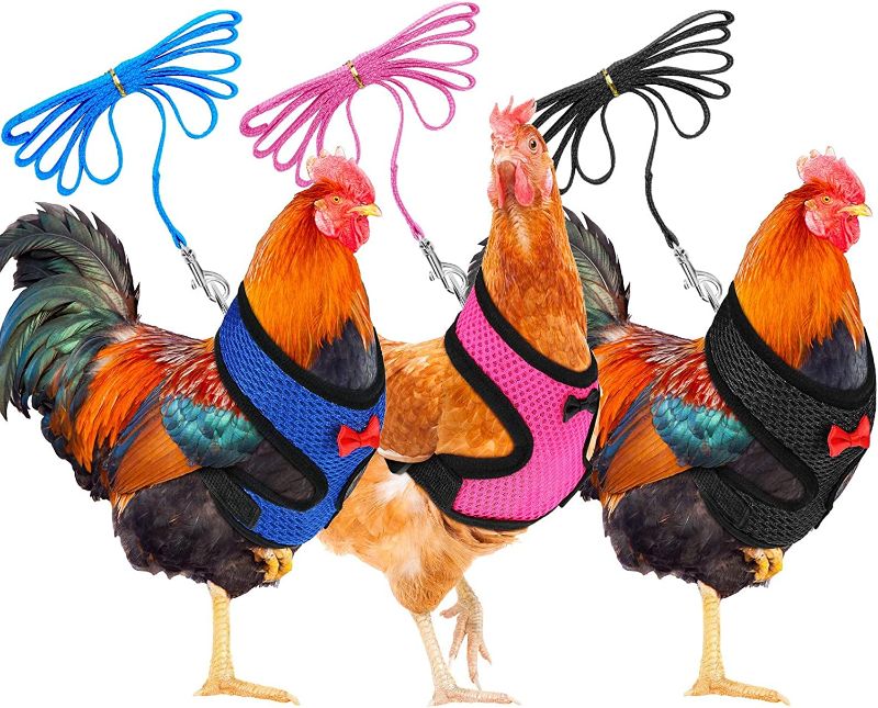 Photo 1 of 3 Pieces Adjustable Chicken Harness and Leash for Hen Roosters Comfortable Hen Pet Vest with Matching Belt Breathable Chicken Training Harness for Chicken, Duck or Goose (Blue, Pink, Black,S)
