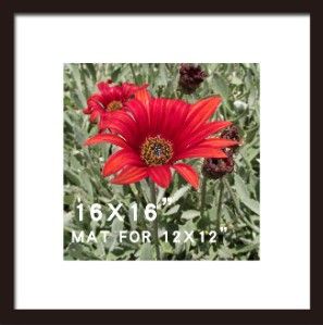 Photo 1 of 16x16 Picture Frame Black 