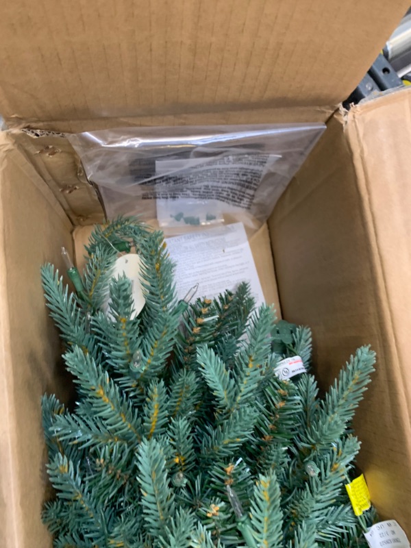 Photo 7 of National Tree Company Artificial Christmas Tree For Entrances | Includes White Lights and Pot | Everyday Collections - 3 ft --- Box Packaging Damaged, Item is New
