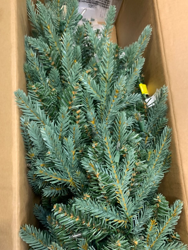 Photo 1 of National Tree Company Artificial Christmas Tree For Entrances | Includes White Lights and Pot | Everyday Collections - 3 ft --- Box Packaging Damaged, Item is New

