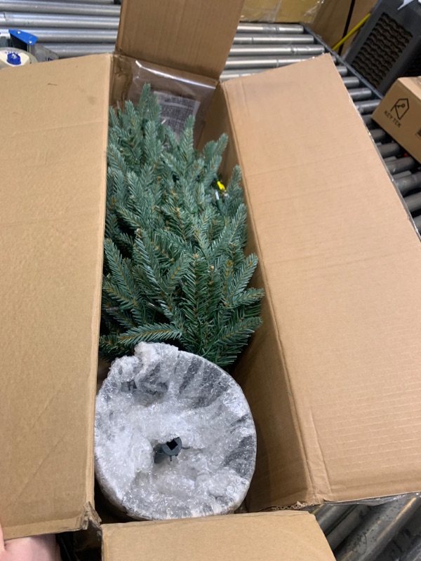 Photo 3 of National Tree Company Artificial Christmas Tree For Entrances | Includes White Lights and Pot | Everyday Collections - 3 ft --- Box Packaging Damaged, Item is New
