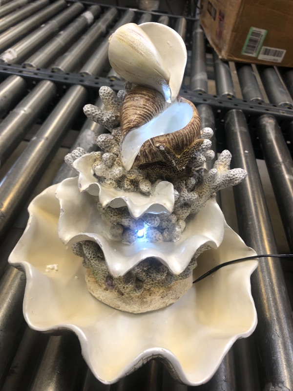 Photo 3 of 10.5" H Coral Reef Shell Fountain Indoor Fountain with LED Lights and Adjustable Motor Pump (Power Cord Attached) (Resin)