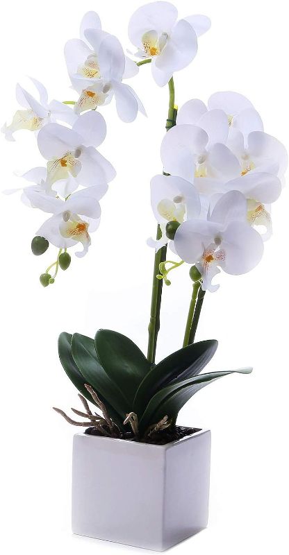 Photo 1 of GXLMII Artificial Orchids Flowers with Vase for Table Centerpieces, Faux Orchid Orquideas Fake Real Touch Flowers Large Vivid Orchid Phalaenopsis White Orchid Plant Indoor Room Decoration

